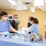 Staff looking over dental materials